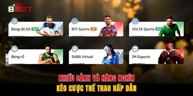 Nhiều sảnh và hàng nghìn kèo cược thể thao hấp dẫn