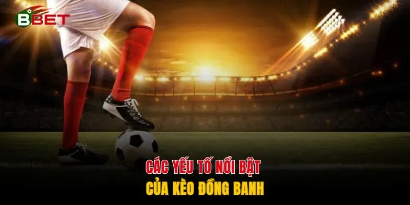 Các yếu tố nổi bật của kèo đồng banh
