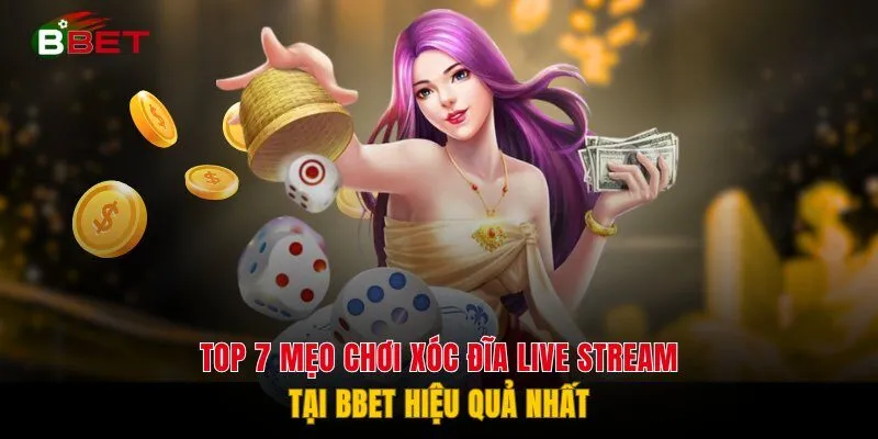 Top 7 Mẹo Chơi Xóc Đĩa Live Stream Tại BBET Hiệu Quả Nhất