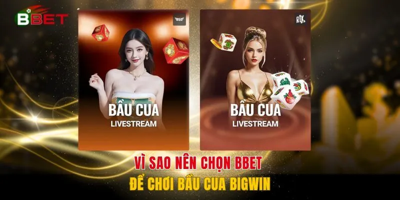 Vì sao nên chọn BBET để chơi Bầu Cua Bigwin